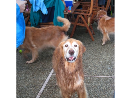 Ginger at her 9th birthday party